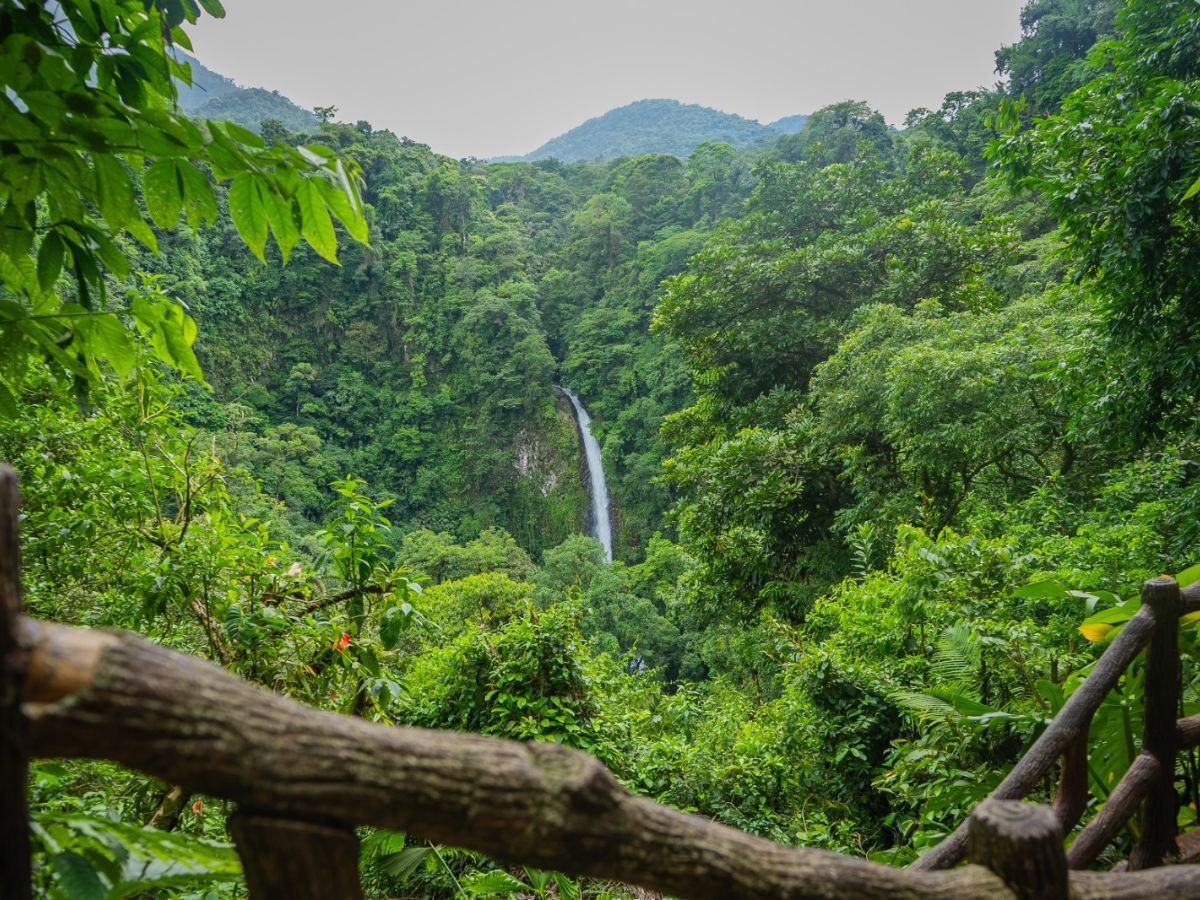 El dinero de entradas también es invertido en proyectos deportivos, culturales y en mejoras en infraestructura vial.