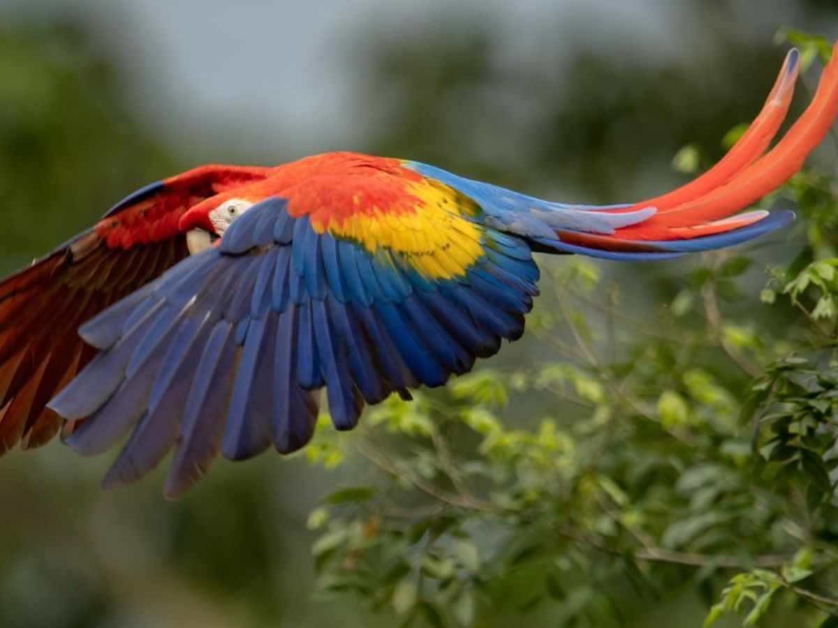 Travel+Leisure destaca al país por su naturaleza única y diversa