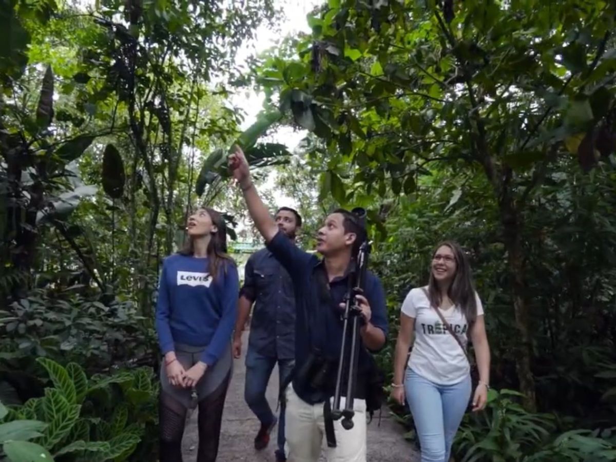 El sitio oficial del CST turismo-sostenible.co.cr es una ventana a la sostenibilidad turística.