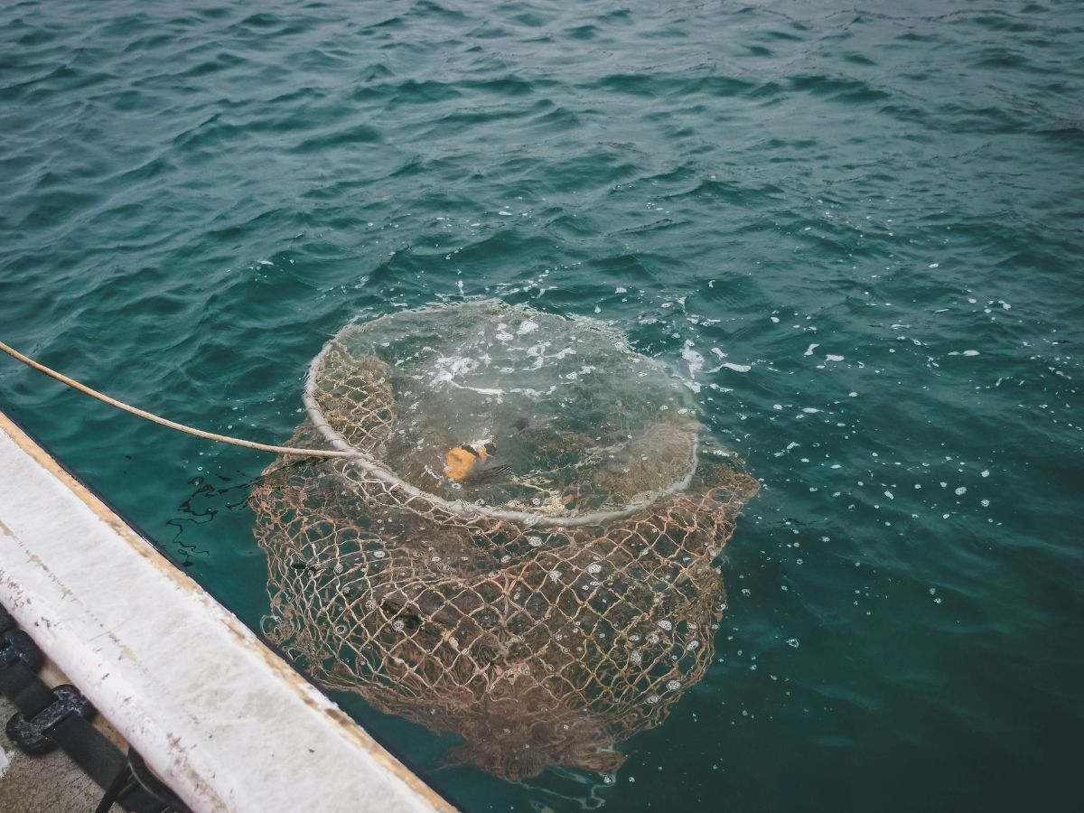 Sector de pesca turística y deportiva activa campaña nacional y llama a partidos políticos a asumir compromisos claros con el mar