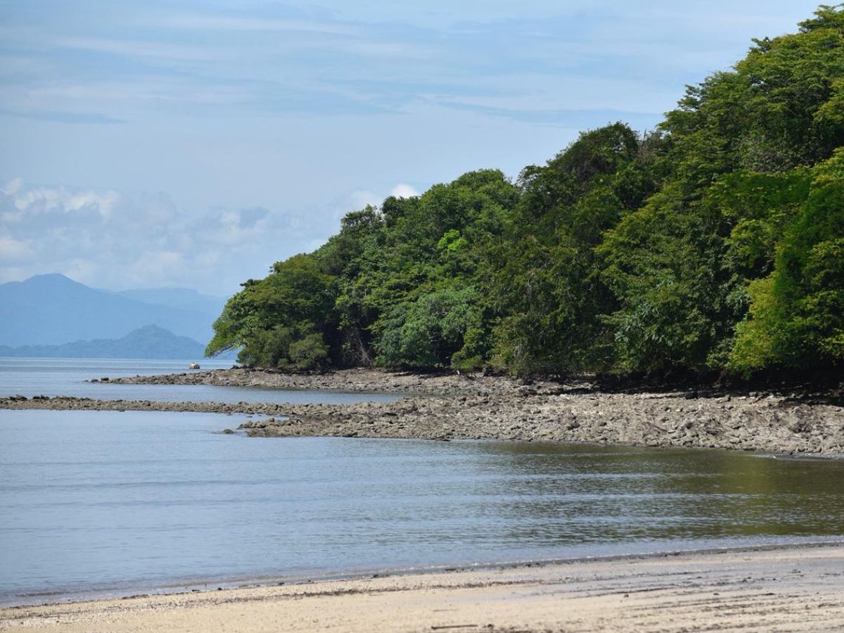 La nueva playa accesible fue abierta oficialmente al público de manera gratuita con la presencia de un grupo de 40 personas beneficiarias del programa Turismo Para Todas Las Personas con discapacidades motoras, visuales, usuarios de sillas de ruedas y pacientes ELA.