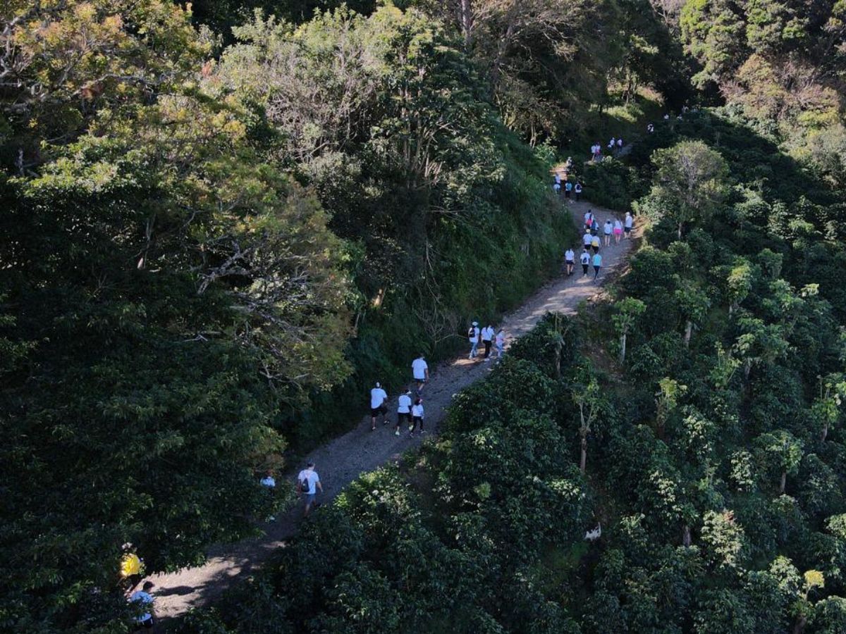 La Zona de los Santos tiene una variada agenda de actividades para el primer fin de semana de diciembre.