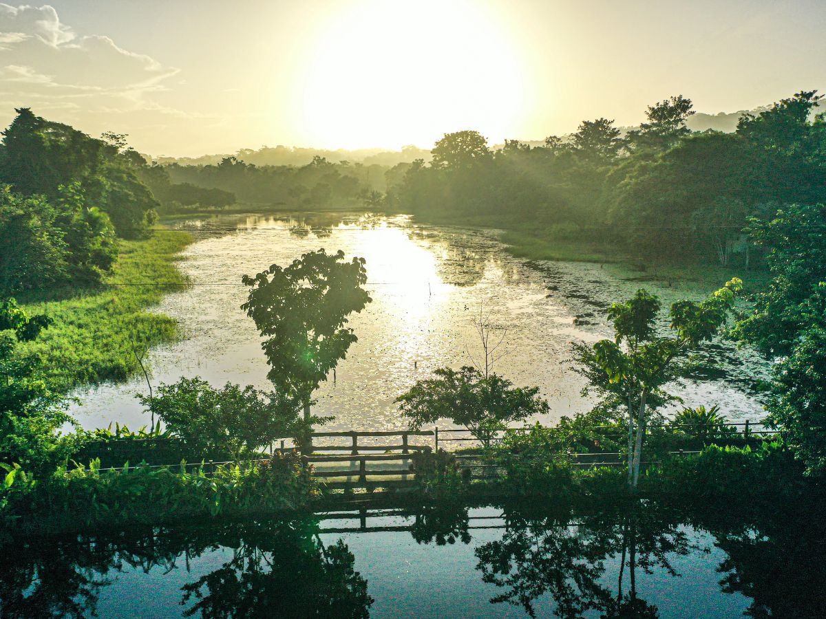Maquenque en Boca Tapada de San Carlos: Un paraíso costarricense para descubrir y reconectar con la naturaleza