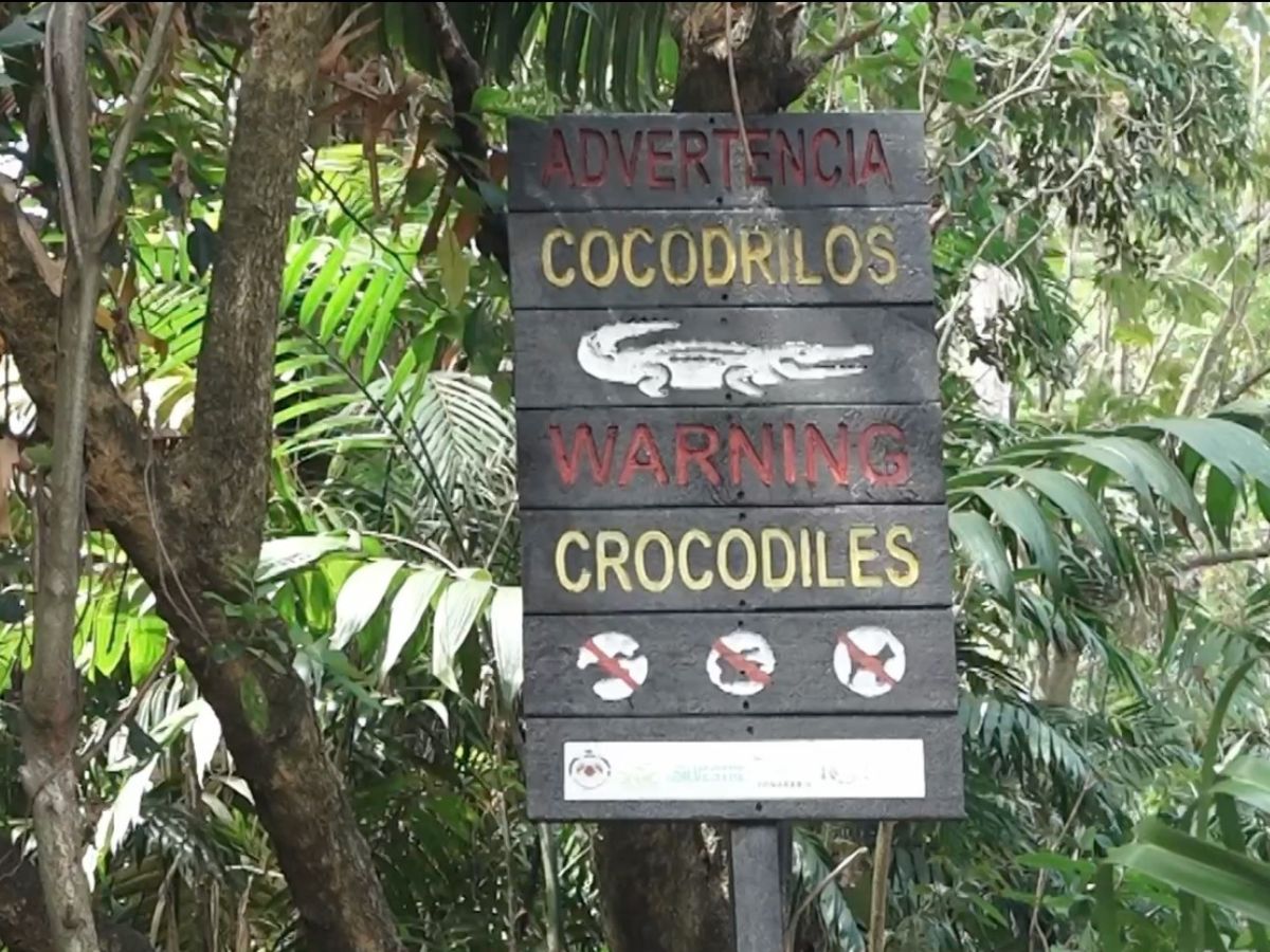 ICT y MINAE colocan rótulos preventivos de presencia de cocodrilos previo al inicio de las vacaciones
